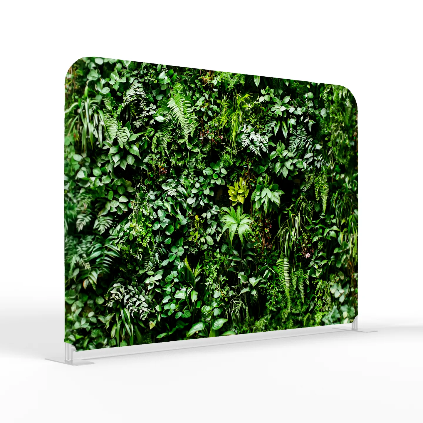 Plants background