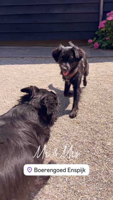 Nog lang niet uitgespeeld, het feestje mag beginnen! #photobooth #flitsmoment